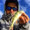 #peche #fish #fishing #perch #rockvibes #reins #waterismystadium #nokill #frenchtouchfishing #culturefish #theculturefish #illex #microjig #aude #france #wild #river #sun #winter