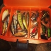 Prêt pour le coup du soir entre collègues : #lure Vs #flyfishing ! #peche #fishing #trout #truite #illex #rapala #microbait #theculturefish