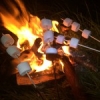 Après une bonne journée au bord de l'eau, rien de mieux qu'une bonne brochette de Chamallows grillés ! #theculturefish #matchfishing
