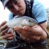 #tenkara #thymalus #theculturefish #thymalustymalus #thymalusthymalus #thegraylingparade #traditionaltenkara #sportfishing #ombre #peche #pechesportive #fish #fishing #flyfishing #flyfishingaddict #fishingpictureoftheday #gobage #lovefishing #catchandrele