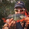 #theculturefish