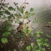 #camouflage #theculturefish #fishing