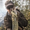 #theculturefish #pike #peche #photo #pikefishing #pechesportive #sportfishing #fish #fishing #fishingbaits #fishingpictureoftheday #gunki #sweepgun #leurre #lovefishing #catchandrelease #brochet #nokill #shad