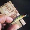 Ça vas être long d'attendre la réouverture de la 1ère catégorie... #theculturefish #illex #tricoroll #truite #trout #fishing