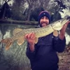 #poto #predator #brochet #pike #casting #reins #shimano #berkley #aude #theculturefish