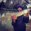 #poto #predator #brochet #pike #casting #reins #shimano #berkley #aude #theculturefish