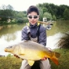 Carp flyfishing
 #theculturefish