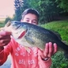 Bass... #theculturefish
