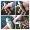 #truite #aude #reins #rivière #shimano #daiwa #nokill #ultralegers #peche #theculturefish #wild