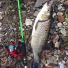 #reins #P.O #rapala #rivers #ultralegers #wild #waterismystadium #rivière #shimano #theculturefish