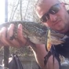 #illex #broc #pike #fish #fishing #peche #jerkbait #dexter