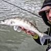 #nokill #bigbaitbigfish #sandre #catchandrelease #leurre #gunki #fishing #fish #sportfishing #pechesportive #theculturefish #zander