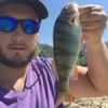 #illex #fish #reins #rinjer #rivers #aude #water #wild #theculturefish #waterismystadium #rockvibes #frenchtouchfishing #perche #perch #cool #nature #pola