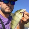 #illex #fish #reins #rinjer #rivers #aude #water #wild #theculturefish #waterismystadium #rockvibes #frenchtouchfishing #perche #perch #cool #nature #pola