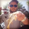 #peche #fish #reins #rinjer #rivers #aude #water #wild #theculturefish #waterismystadium #rockvibes #frenchtouchfishing #perche #perch #cool #nature #pola