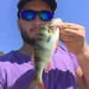 #illex #fish #reins #rinjer #rivers #aude #water #wild #theculturefish #waterismystadium #rockvibes #frenchtouchfishing #perche #perch #cool #nature #pola