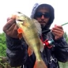 #peche #fish #reins #rinjer #rivers #aude #water #wild #theculturefish #waterismystadium #rockvibes #frenchtouchfishing #perche #perch #cool #nature #pola #pluie
