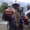 #peche #fish #reins #rinjer #rivers #aude #water #wild #theculturefish #waterismystadium #rockvibes #frenchtouchfishing #perche #perch #cool #nature #pola