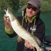 #kaiju #gunki #theculturefish #nokill #orient #brochet #broc #catchandrelease #fish #flytying #sportfishing