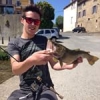 #truite #trout #reins #rapala #UL #ultralegers #rivers #rivière #aude #amis #fish #big #arc #sauvage #nature #water #waterismystadium #theculturefish