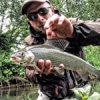 #theculturefish #thegraylingparade #peche #pechesportive #sportfishing #dryfly #fish #fishing #flyfishing #grayling #catchandrelease #nokill #nav #ombre #thymalus
