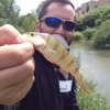 #fish #ultralegers #reins #rockvibe #theculturefish #waterismystadium #rivers #fish #nature #nice #aude #perch #perche
