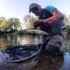 #fishing #peche #pechesportive #sportfishing #mouche #catchandrelease #thegraylingparade #seche #flyfishing #theculturefish