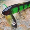 Topwater cession : #Illex Chatterbeast for the gentleman fisher. #theculturefish