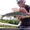 #fish #dryfly #peche #pechesportive #sportfishing #flyfishing #grayling #mouche #catchandrelease #thegraylingparade #seche #flyfishing #theculturefish