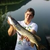 #PikeFishing #Rhone #WithMyBro'
#theculturefish