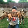 Cat & release #theculturefish