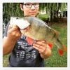 #theculturefish