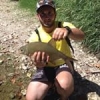 #brème #fish #illex #microjig #rinjer #rivers #rivière #nature #nokill #frenchtouchfishing #waterismystadium #wild #theculturefish #love #plaisir #sun #shimano #sauvage #rapala
