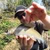 #fishing #peche #sportfishing #thegraylingparade #nokill #catchandrelease #theculturefish #seche #tenkara #ombre #pechesportive #flyfishing