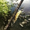 #Illex Streamaster S1484L Travel Édition / Tricoroll LMDLT : le combo trout validé par #theculturefish