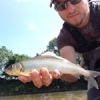 #tenkarapyrénées #tenkara #truite #fishing #peche #sportfishing #grayling #thegraylingparade #nokill #catchandrelease #theculturefish #tenkarafishing #seche