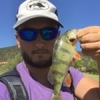 #illex #fish #reins #rinjer #rivers #aude #water #wild #theculturefish #waterismystadium #rockvibes #frenchtouchfishing #perche #perch #cool #nature #pola