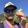 #illex #fish #reins #rinjer #rivers #aude #water #wild #theculturefish #waterismystadium #rockvibes #frenchtouchfishing #perche #perch #cool #nature #pola
