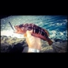 #seafishing #theculturefish