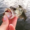 Et merci Gary.... ;) #blackbass #largemouth #fishing #fishoftheday #theculturefish #cti