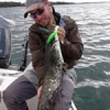 #gunki #catchandrelease #catfish #sweepgun #nokill #theculturefish #peche #fish #fishing #leurre
