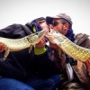 #pike #brochet #cacthandrelease #nokill #peaceandlove #leurre #theculturefish #fishing #fish