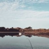 #riadelel #fishing #theculturefish