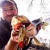 #pike #fish #fishing #theculturefish #leurre #cacthandrelease #nokill #brochet #sportfishing