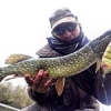 #fishinglures #leurre #fish #fishing #pikefishing #pike #peche #brochet #illex #dexter #jerkbait #jerkbaits #nokill #cacthandrelease #theculturefish #
