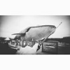 #fiiiiiishon #theculturefish #parisfishing