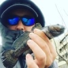#sea #peche #rockfishing #rockfitness #illex #reins #creatures #gobie #fish #fishing #sun #port #pieuvre #poulpe #seche #hiver sun #shimano #microjig #ul #aude #waterismystadium #nokill #theculturefish #frenchtouchfishing #catchandrelease ????????