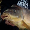 #carpfishing #silkscreen #theculturefish #friends #outdoor #CTI