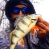 #peche #fish #fishing #perch #rockvibes #reins #waterismystadium #nokill #frenchtouchfishing #culturefish #theculturefish #illex #microjig #aude #france #wild #river #sun #winter #catchandrelease