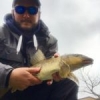 #reins #frenchtouchfishing #jmc #barbeau #fish #rivers #aude #ul #waterismystadium #nokill #nature #shimano #maïs #alancienne #pola #nice #theculturefish #catchandrelease #illex #pain #plombs #microjig